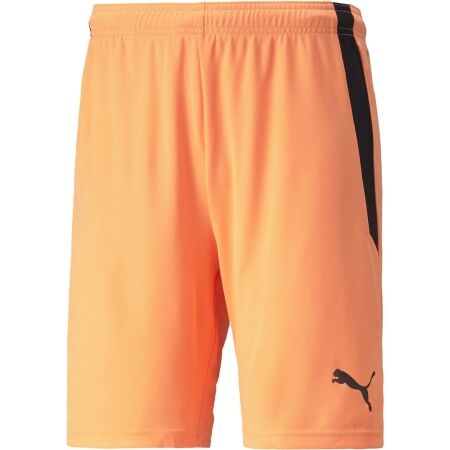 Puma TEAM LIGA SHORTS - Men's shorts