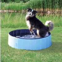 Dog pool