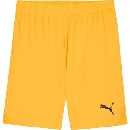 Puma TEAMGOAL SHORTS - Men’s football shorts