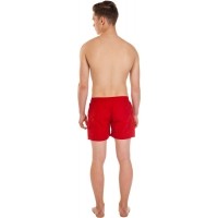 SWIM SHORTS - Men´s shorts