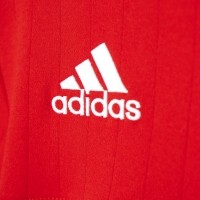 FC Bayern Polo Shirt