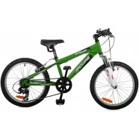 DIRT RIDER 20 - Chlapčenský bicykel