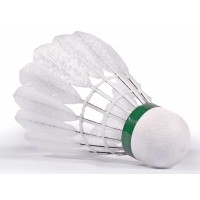 Fluturași badminton