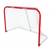 Steel ice hockey gate with a net