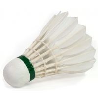 Badminton shuttlecocks