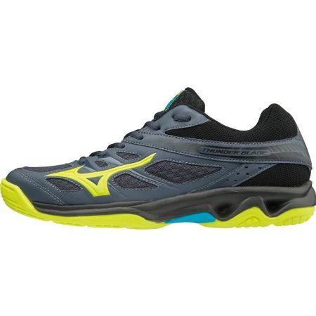 mizuno shoes indoor