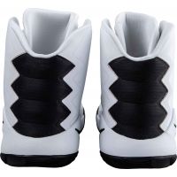 Pánska basketbalová obuv