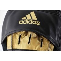 Boxing mitts