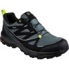 Men's hiking shoes - Salomon TONEO GTX - 1