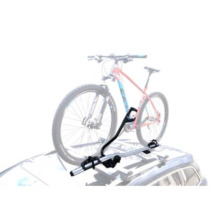 bike carrier atlantis