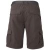 Men's shorts - O'Neill LM BEACH BREAK SHORTS - 2