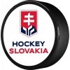 Hokejový puk - Střída OBOUSTRANNY PREKRIZENE HOKEJKY SVK - 1