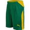 Мъжки къси панталони за футбол - Puma KC LIGA SHORTS - 2