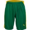 Мъжки къси панталони за футбол - Puma KC LIGA SHORTS - 1