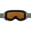 Unisex lyžiarske okuliare - Alpina Sports BIG HORN HM - 2