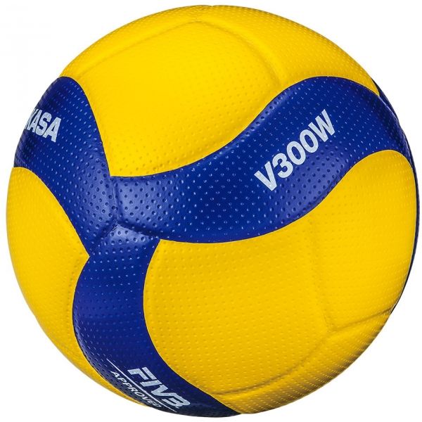 Hallen-Volleyball