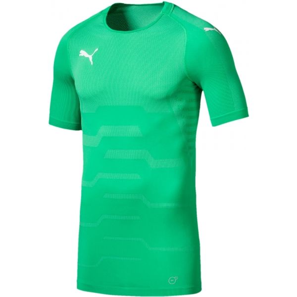 Puma FINAL evoKNIT GK Jersey Мъжка вратарска тениска, зелено, размер