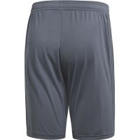 Men's shorts