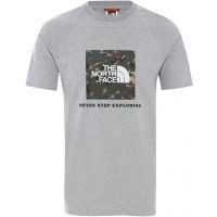 Men's raglan T-shirt